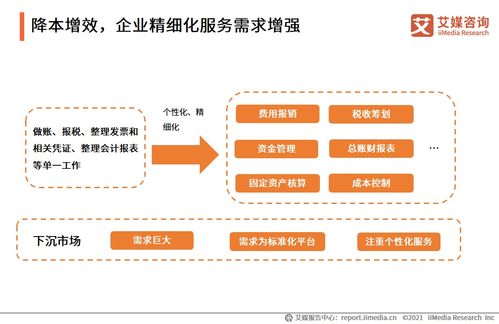 2021上半年中國財稅類企業服務專題研究 信息咨詢服務的變革與未來